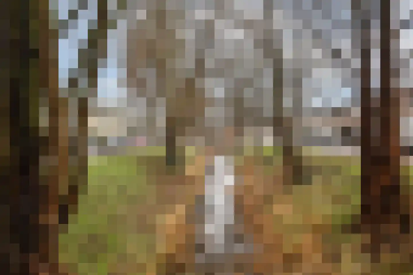 Le Tourmalet 39 Amsterdam thumbnail 23
