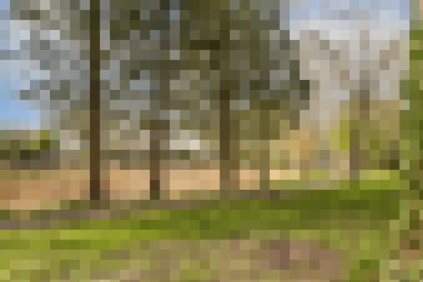 Le Tourmalet 39 Amsterdam thumbnail 29