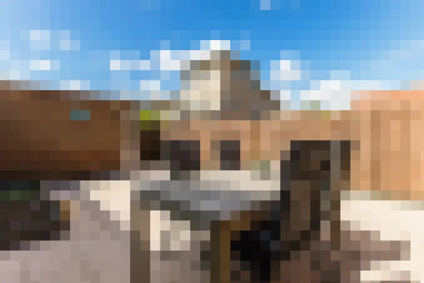 Le Tourmalet 71 Amsterdam thumbnail 53