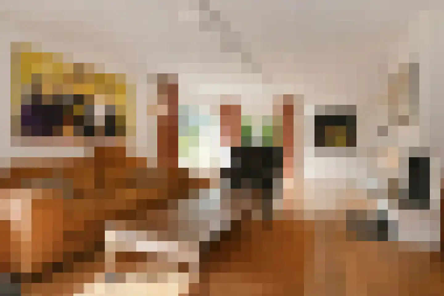 Leanderlaan 15 Eindhoven thumbnail 10