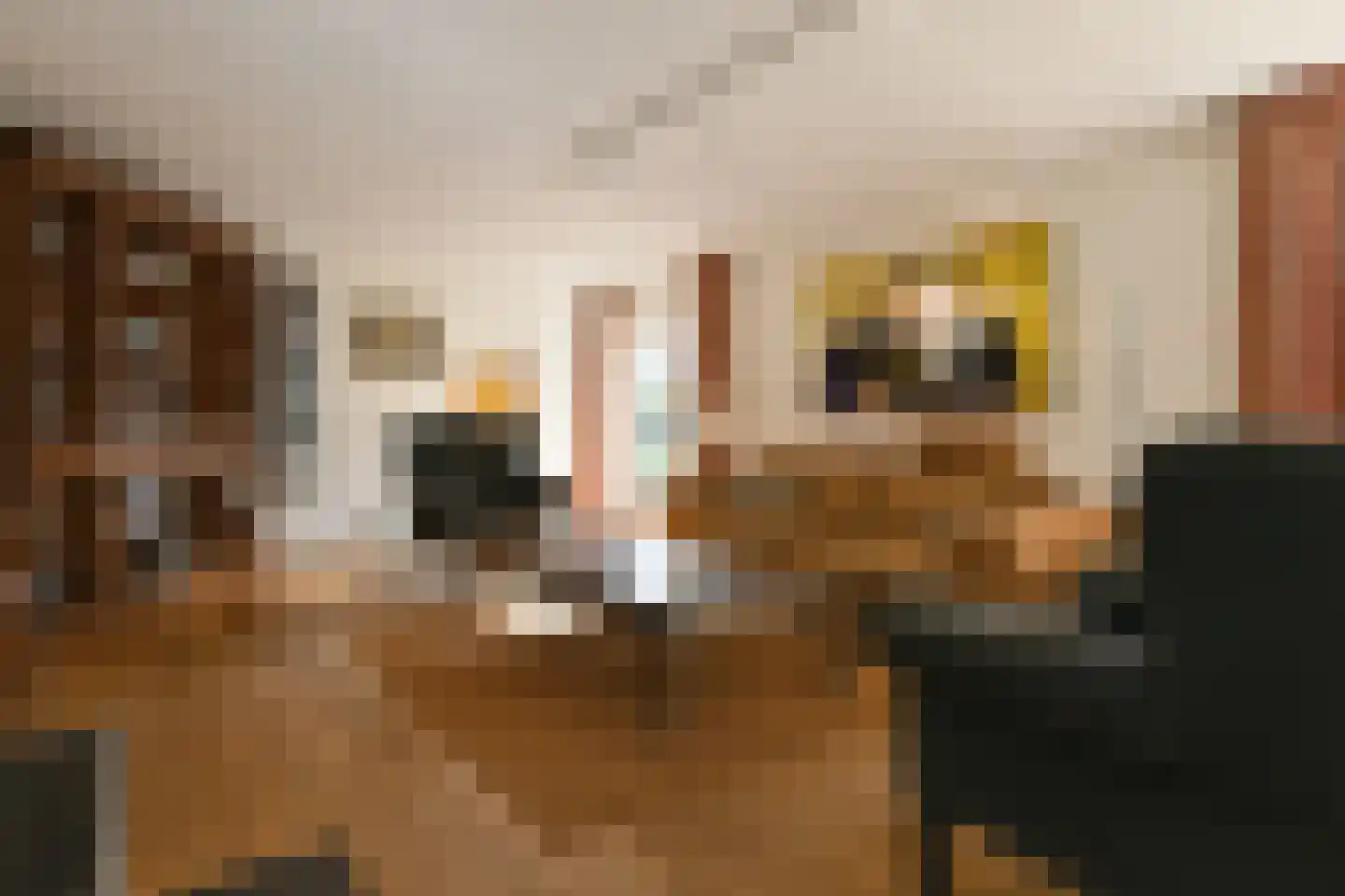 Leanderlaan 15 Eindhoven thumbnail 14
