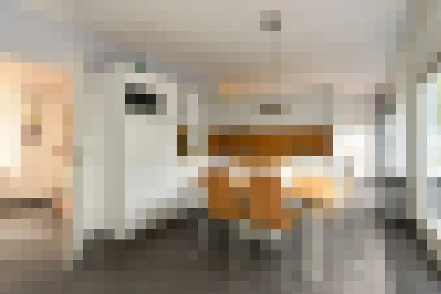 Leanderlaan 15 Eindhoven thumbnail 20