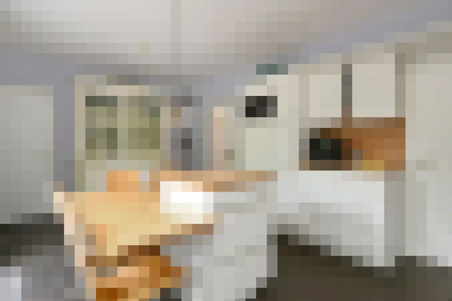Leanderlaan 15 Eindhoven thumbnail 22