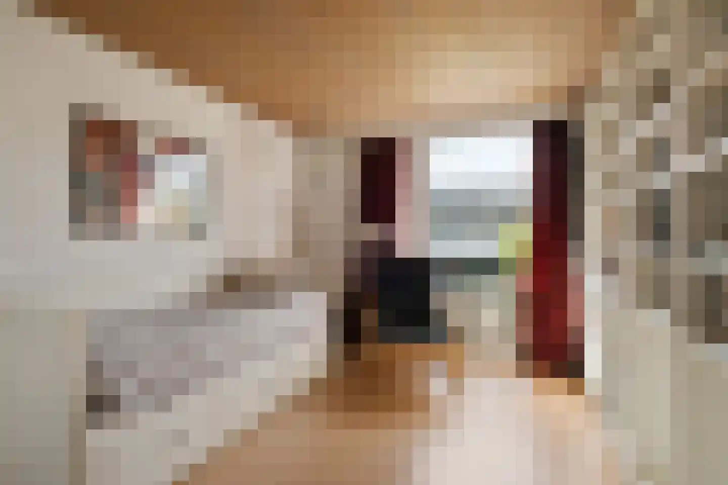 Leanderlaan 15 Eindhoven thumbnail 29