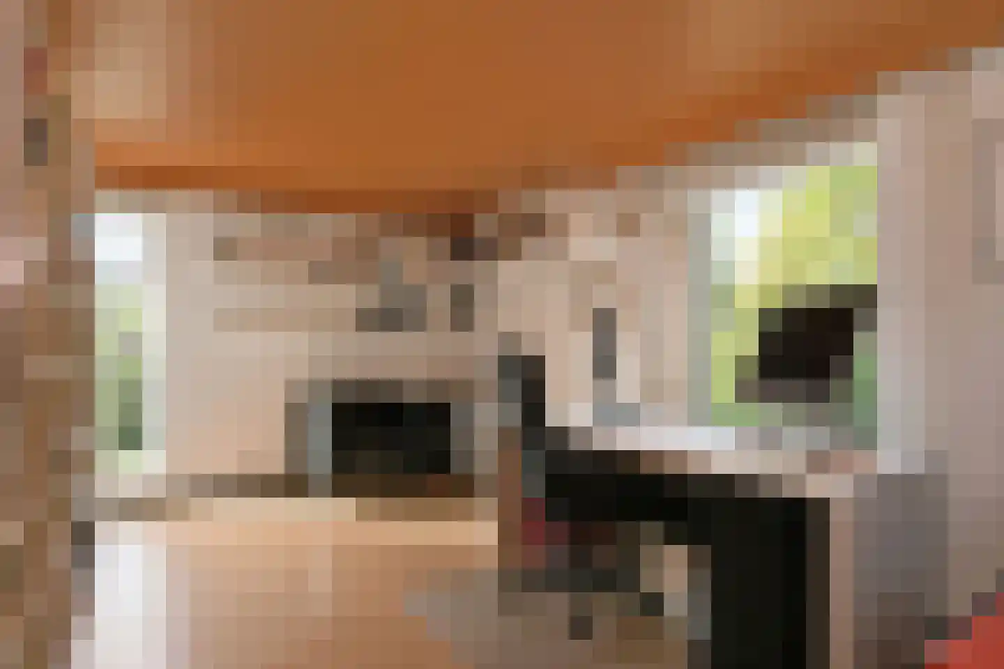 Leanderlaan 15 Eindhoven thumbnail 30