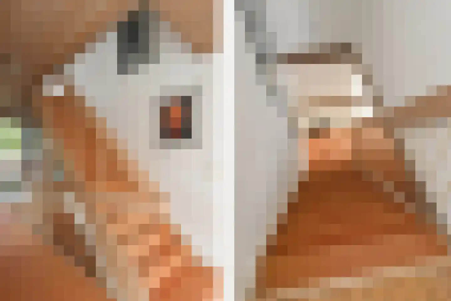 Leanderlaan 15 Eindhoven thumbnail 37