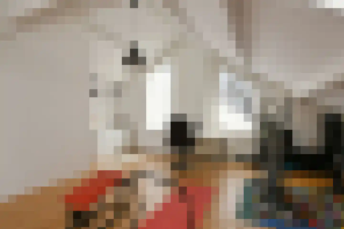 Leanderlaan 15 Eindhoven thumbnail 38