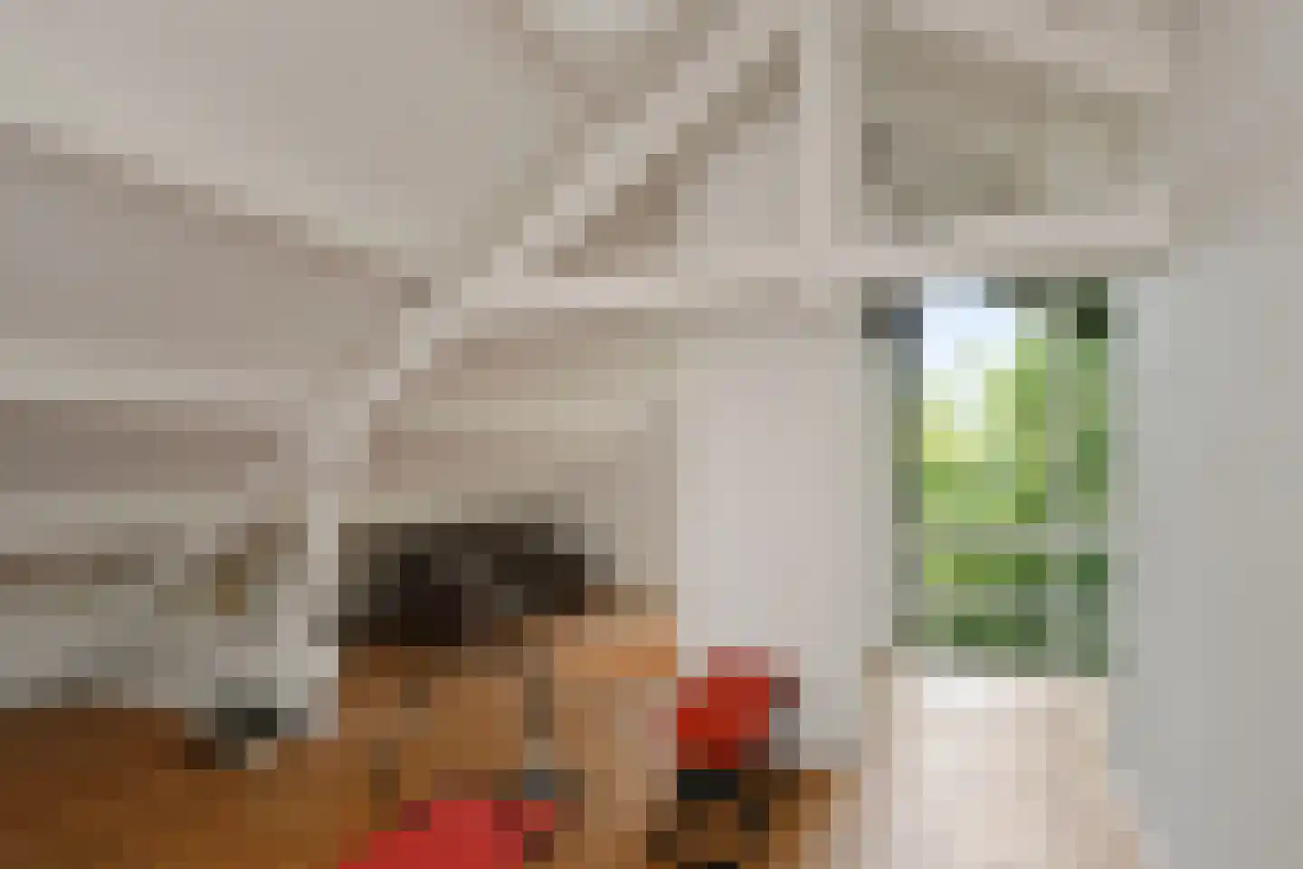 Leanderlaan 15 Eindhoven thumbnail 40