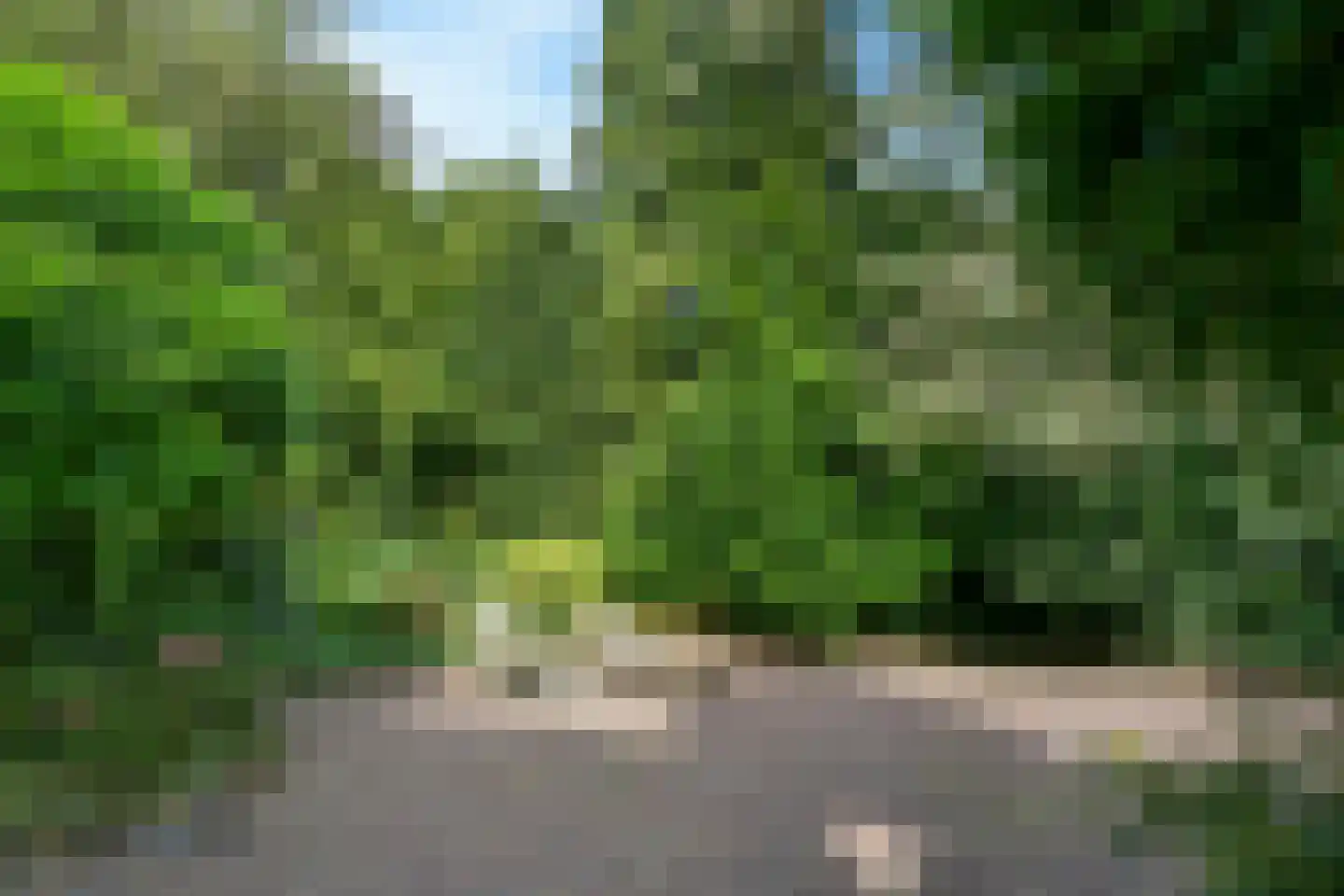 Leanderlaan 15 Eindhoven thumbnail 43