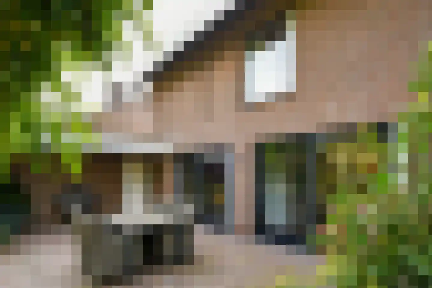 Leanderlaan 15 Eindhoven thumbnail 44