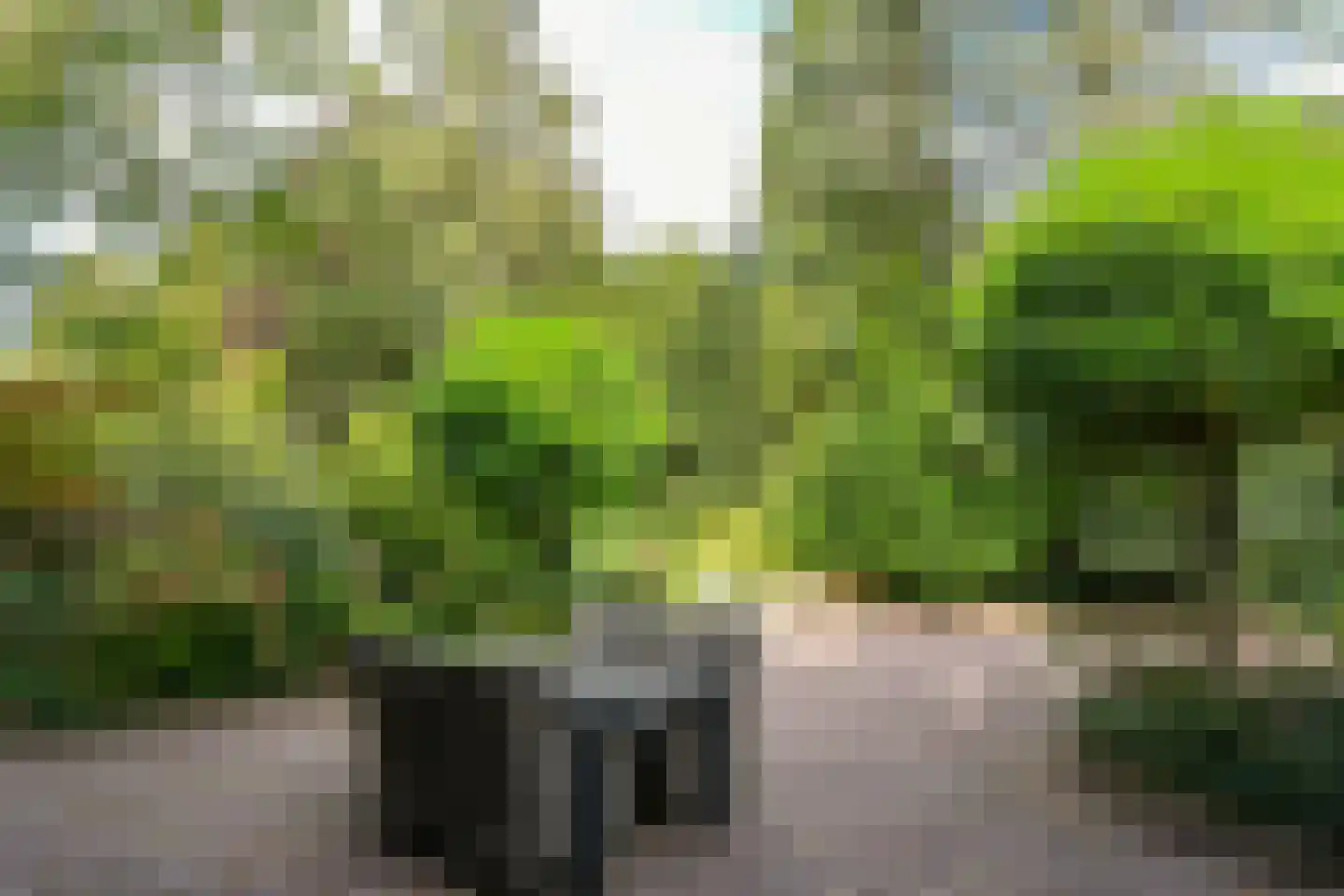 Leanderlaan 15 Eindhoven thumbnail 45