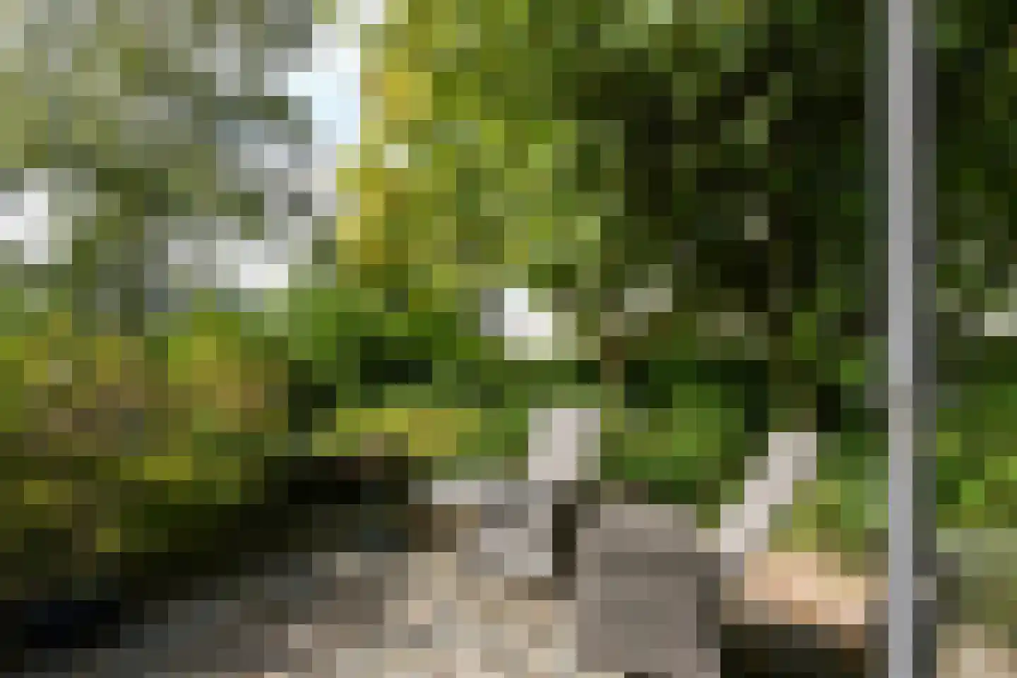 Leanderlaan 15 Eindhoven thumbnail 47