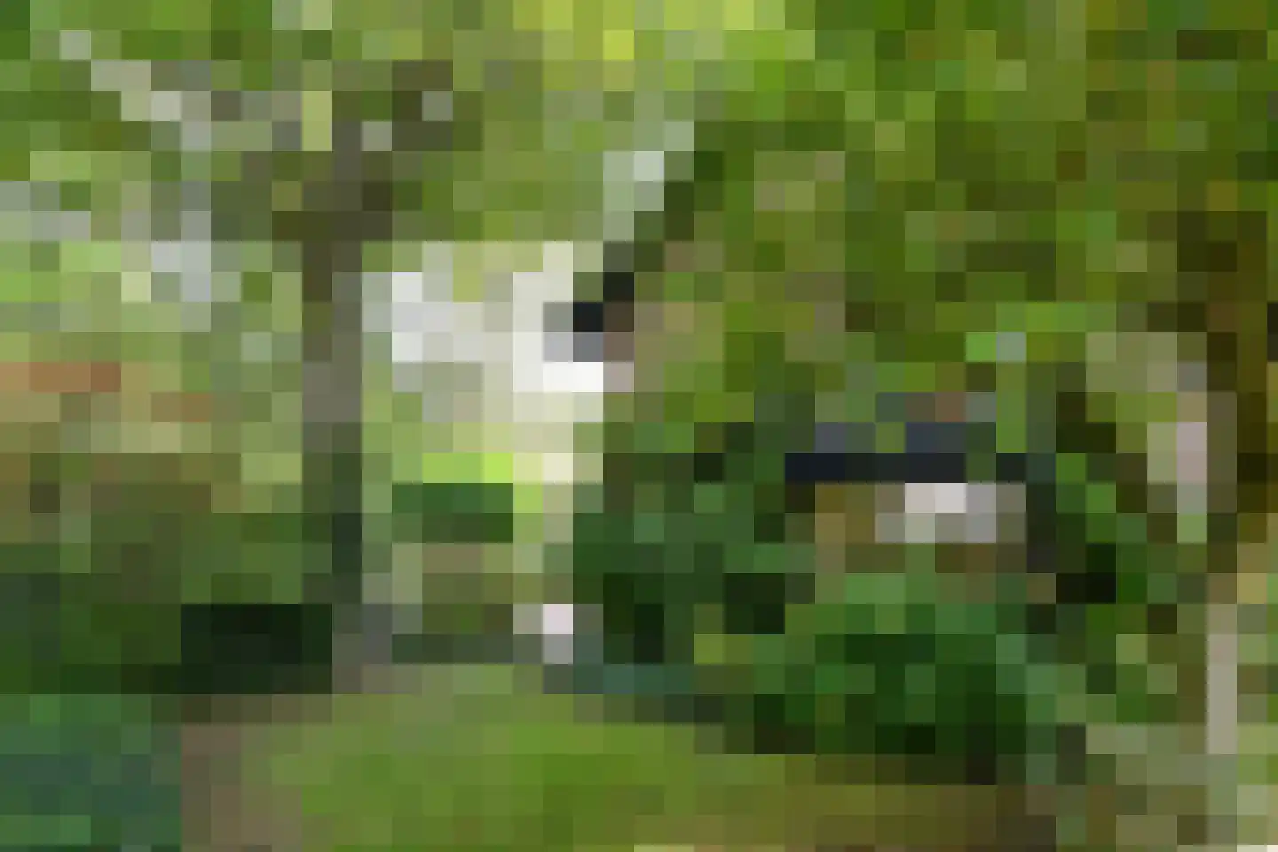 Leanderlaan 15 Eindhoven thumbnail 52