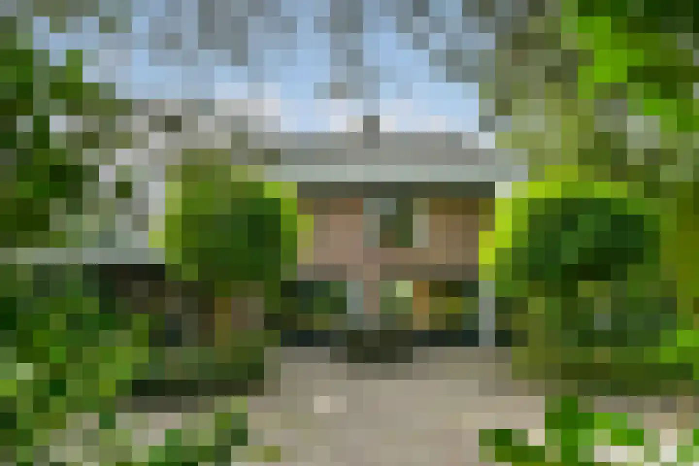 Leanderlaan 15 Eindhoven thumbnail 58