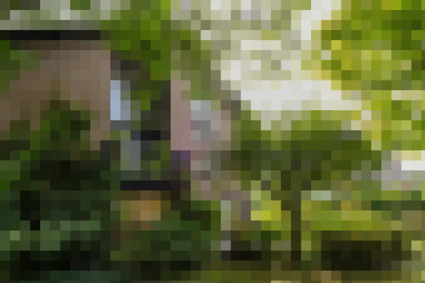 Leanderlaan 15 Eindhoven thumbnail 6