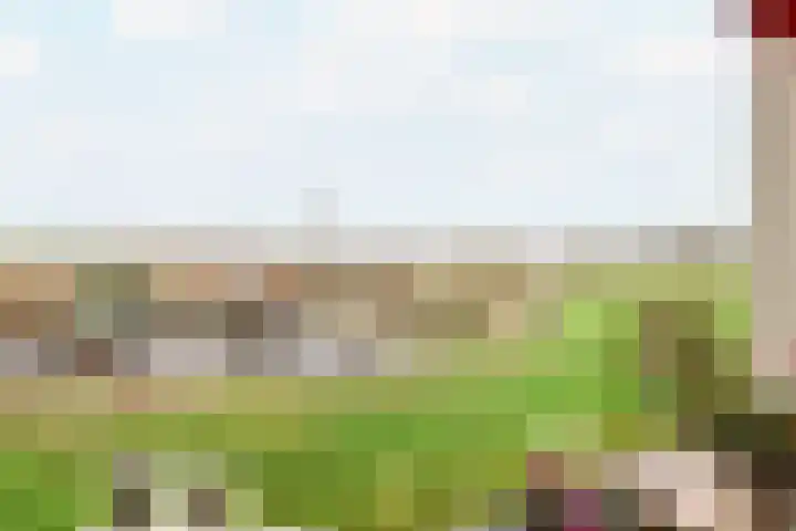 Leane 5 A Pietersbierum thumbnail 14