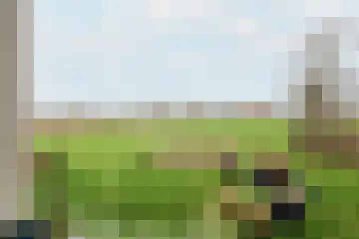 Leane 5 A Pietersbierum thumbnail 15