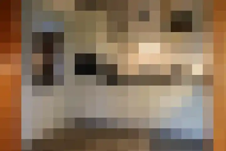 Leane 5 A Pietersbierum thumbnail 21
