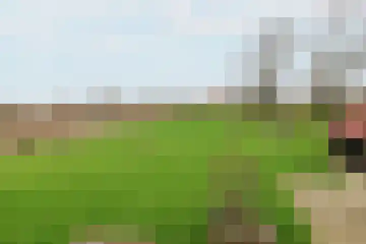 Leane 5 A Pietersbierum thumbnail 37