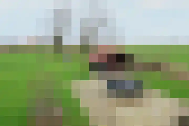 Leane 5 A Pietersbierum thumbnail 38