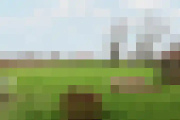 Leane 5 A Pietersbierum thumbnail 39