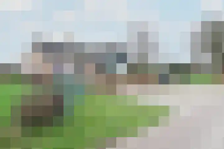 Leane 5 A Pietersbierum thumbnail 4