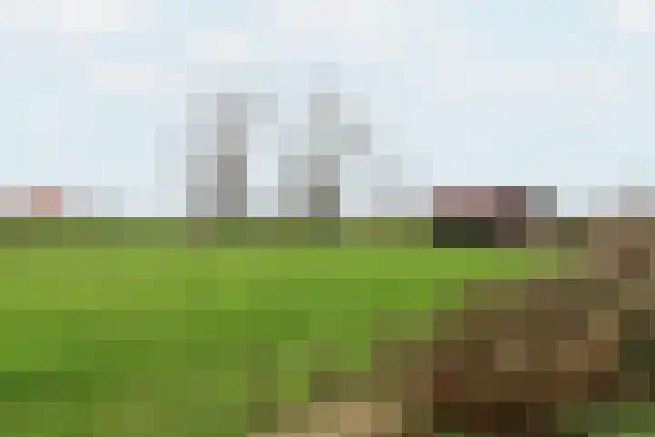 Leane 5 A Pietersbierum thumbnail 40