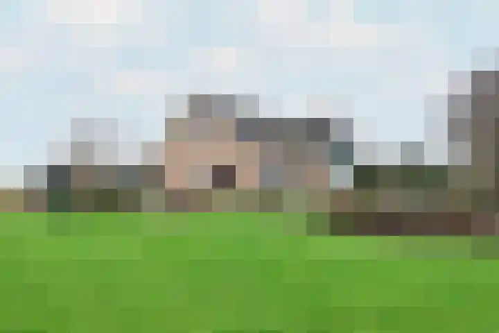 Leane 5 A Pietersbierum thumbnail 41