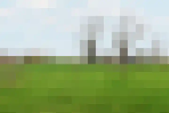 Leane 5 A Pietersbierum thumbnail 42
