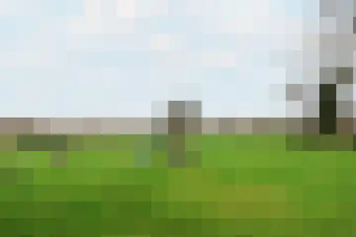 Leane 5 A Pietersbierum thumbnail 43