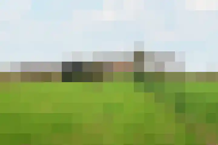 Leane 5 A Pietersbierum thumbnail 44