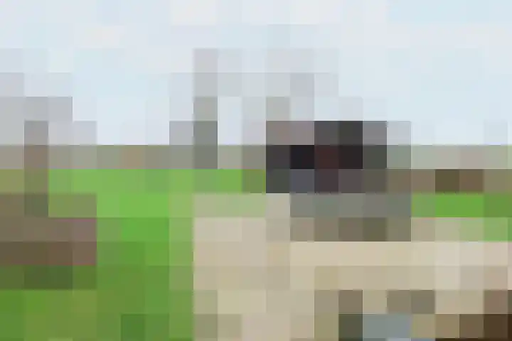 Leane 5 A Pietersbierum thumbnail 46