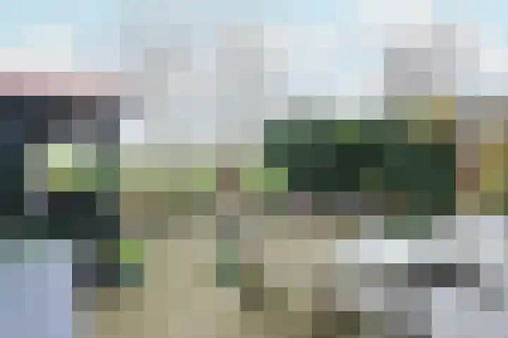 Leane 5 A Pietersbierum thumbnail 47