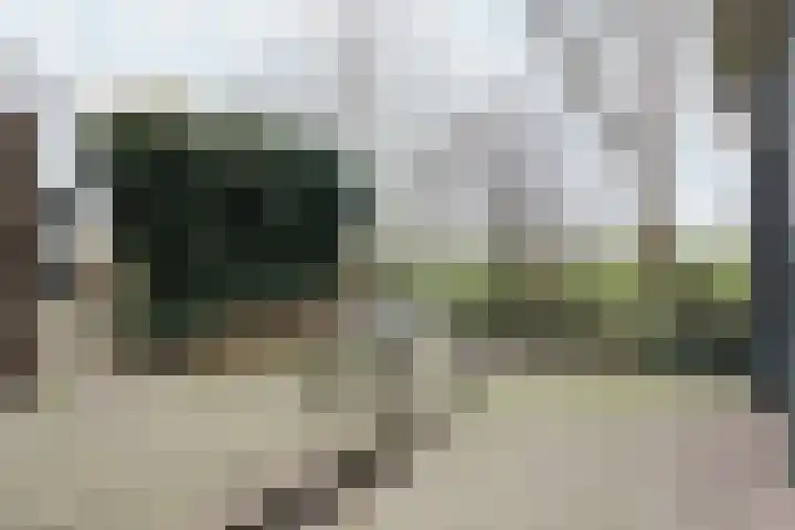 Leane 5 A Pietersbierum thumbnail 49