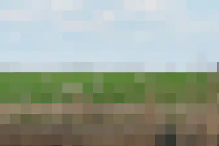 Leane 5 A Pietersbierum thumbnail 53