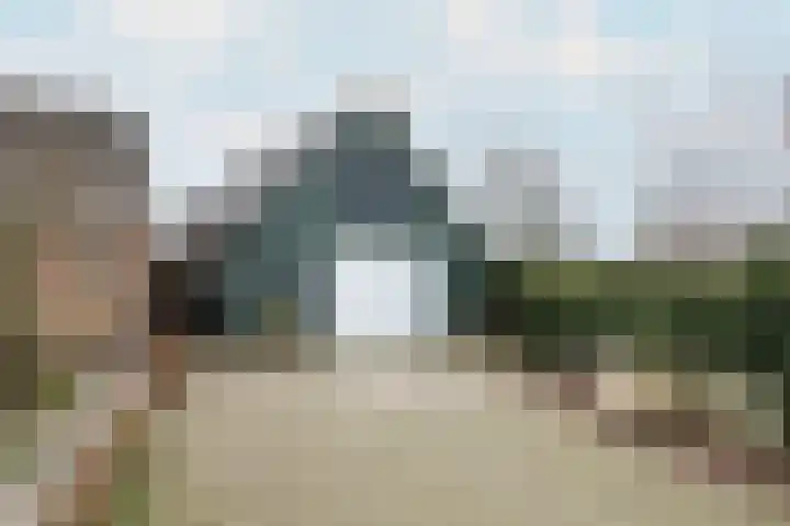 Leane 5 A Pietersbierum thumbnail 7