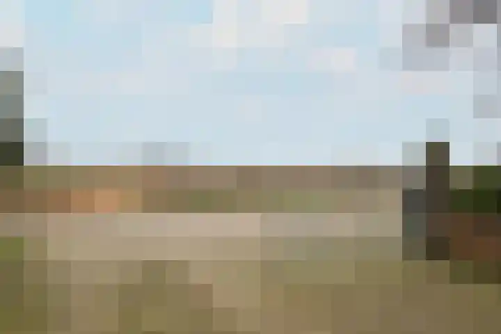 Leane 5 A Pietersbierum thumbnail 8