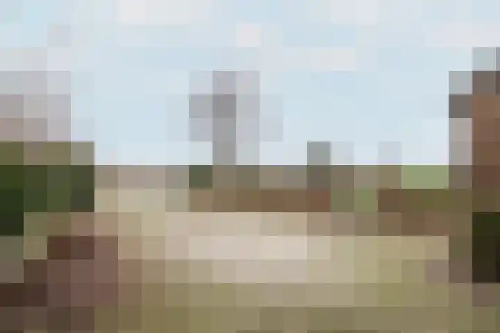 Leane 5 A Pietersbierum thumbnail 9