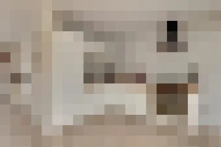 Learmole 16 Workum thumbnail 11