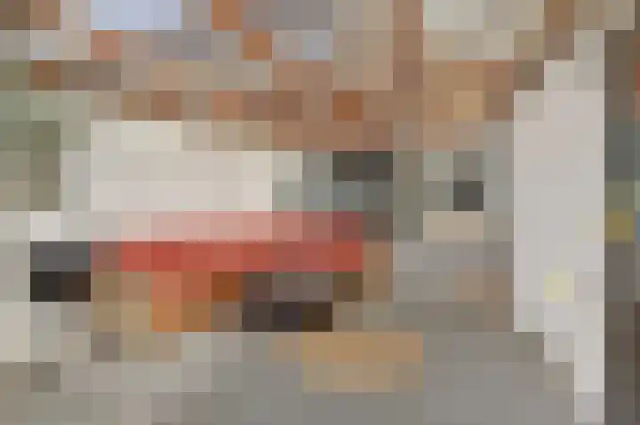 Learmole 16 Workum thumbnail 23