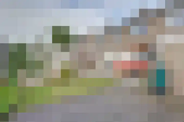 Learmole 16 Workum thumbnail 25