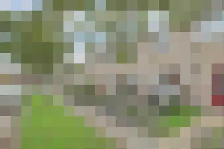Learmole 16 Workum thumbnail 26