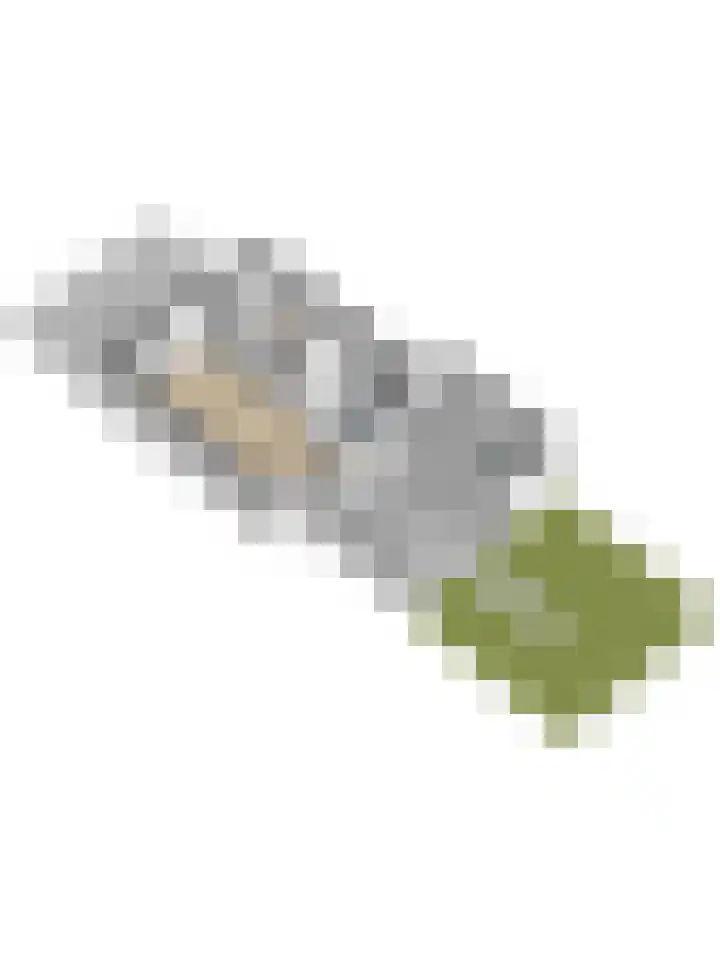 Learmole 16 Workum thumbnail 32