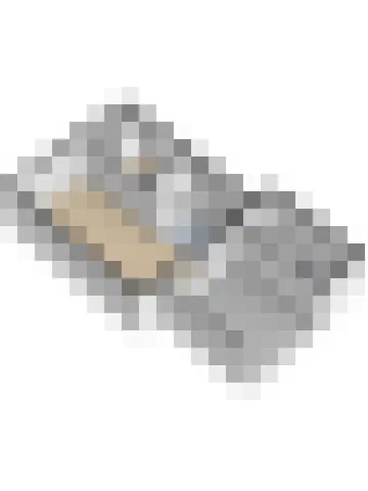 Learmole 16 Workum thumbnail 34