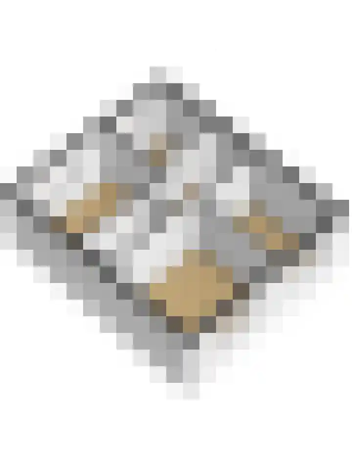 Learmole 16 Workum thumbnail 36
