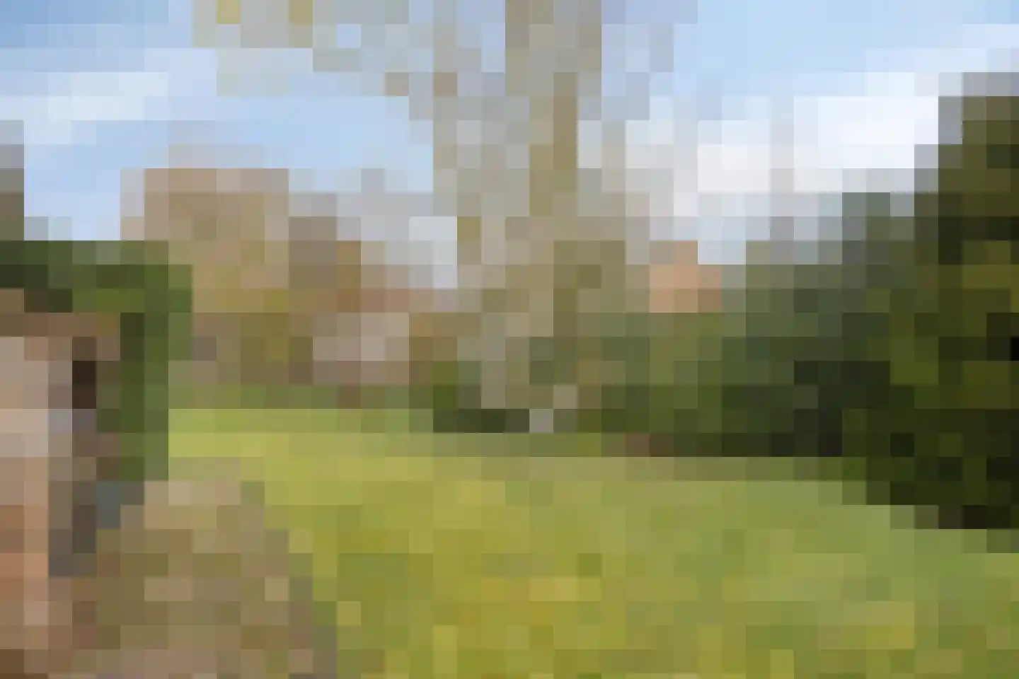 Lebbenbruggedijk 6 Borculo thumbnail 62