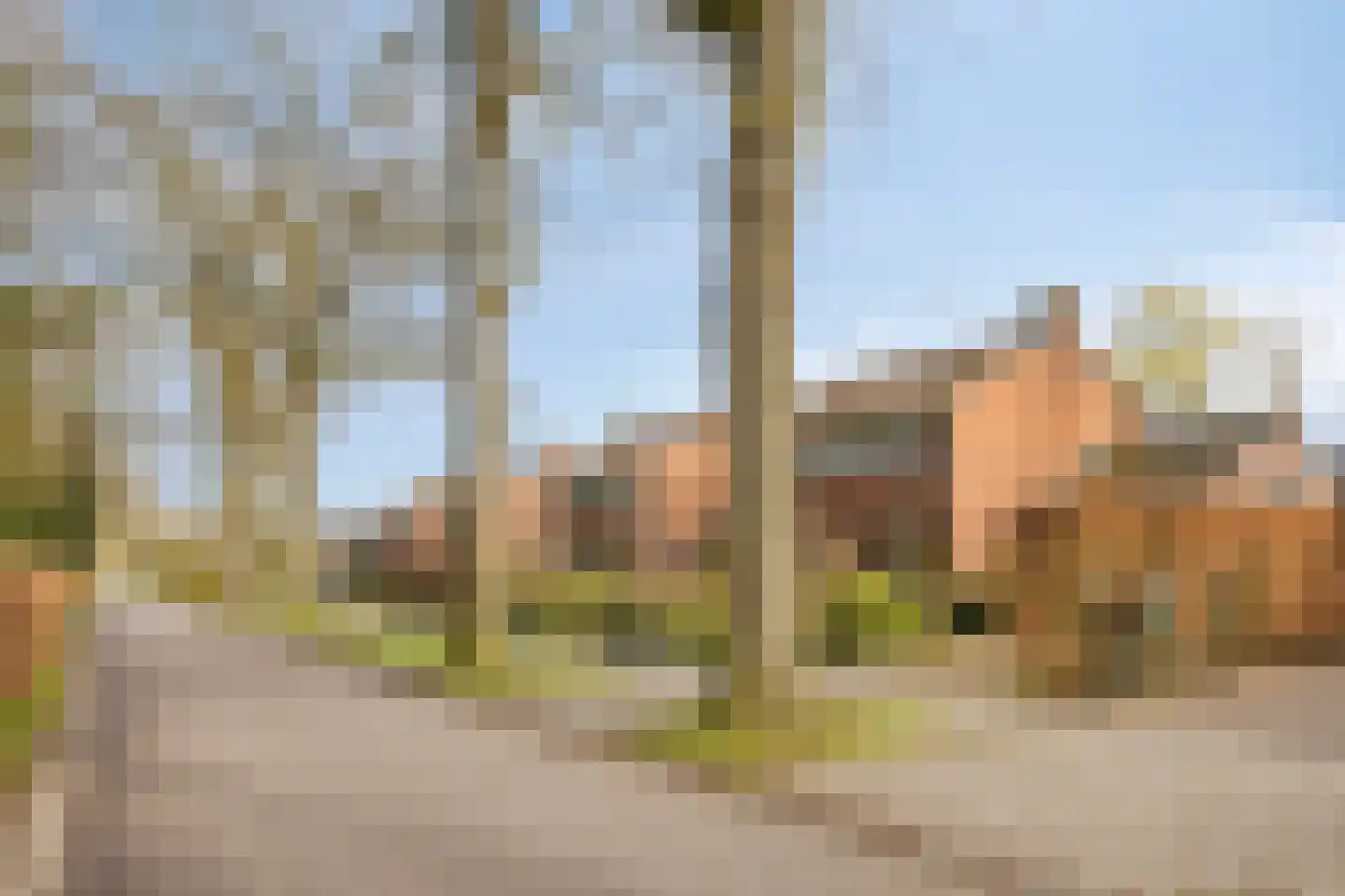 Lebbenbruggedijk 6 Borculo thumbnail 65