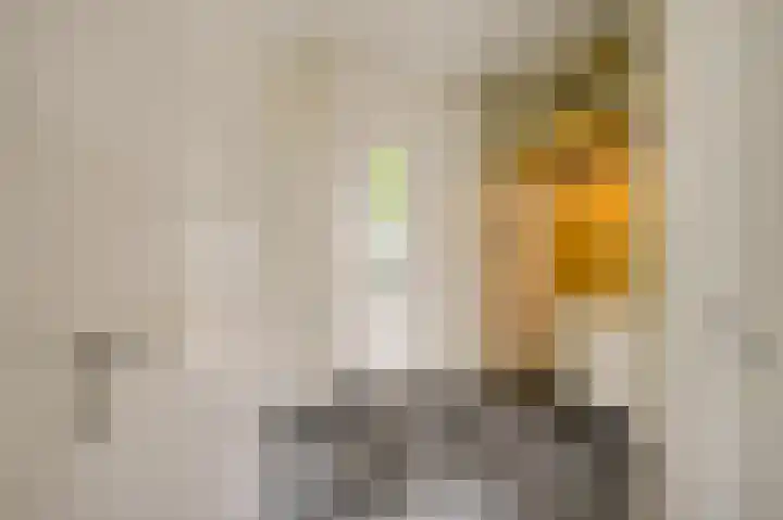 Lebeauhof 14 Leiden thumbnail 5
