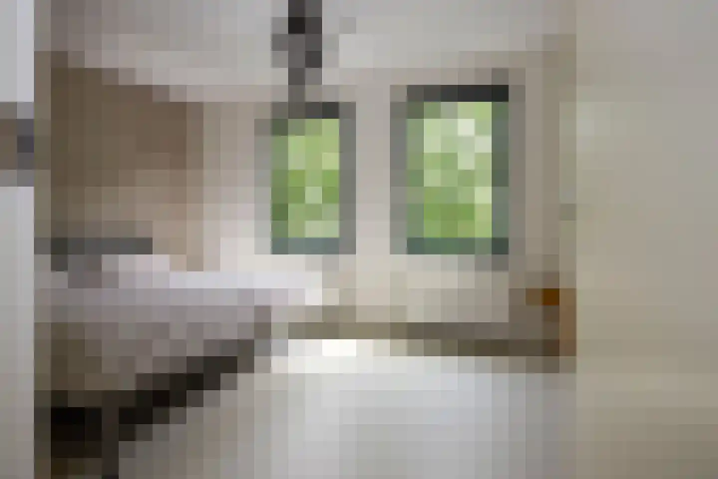 Lebeauhof 19 Leiden thumbnail 23