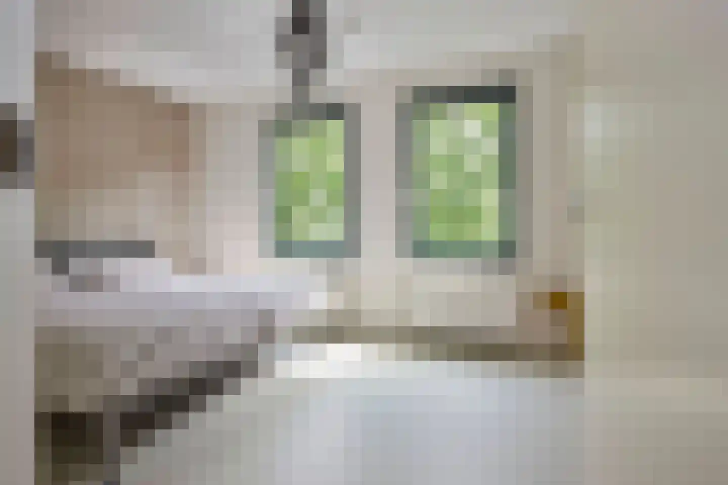 Lebeauhof 19 Leiden thumbnail 26